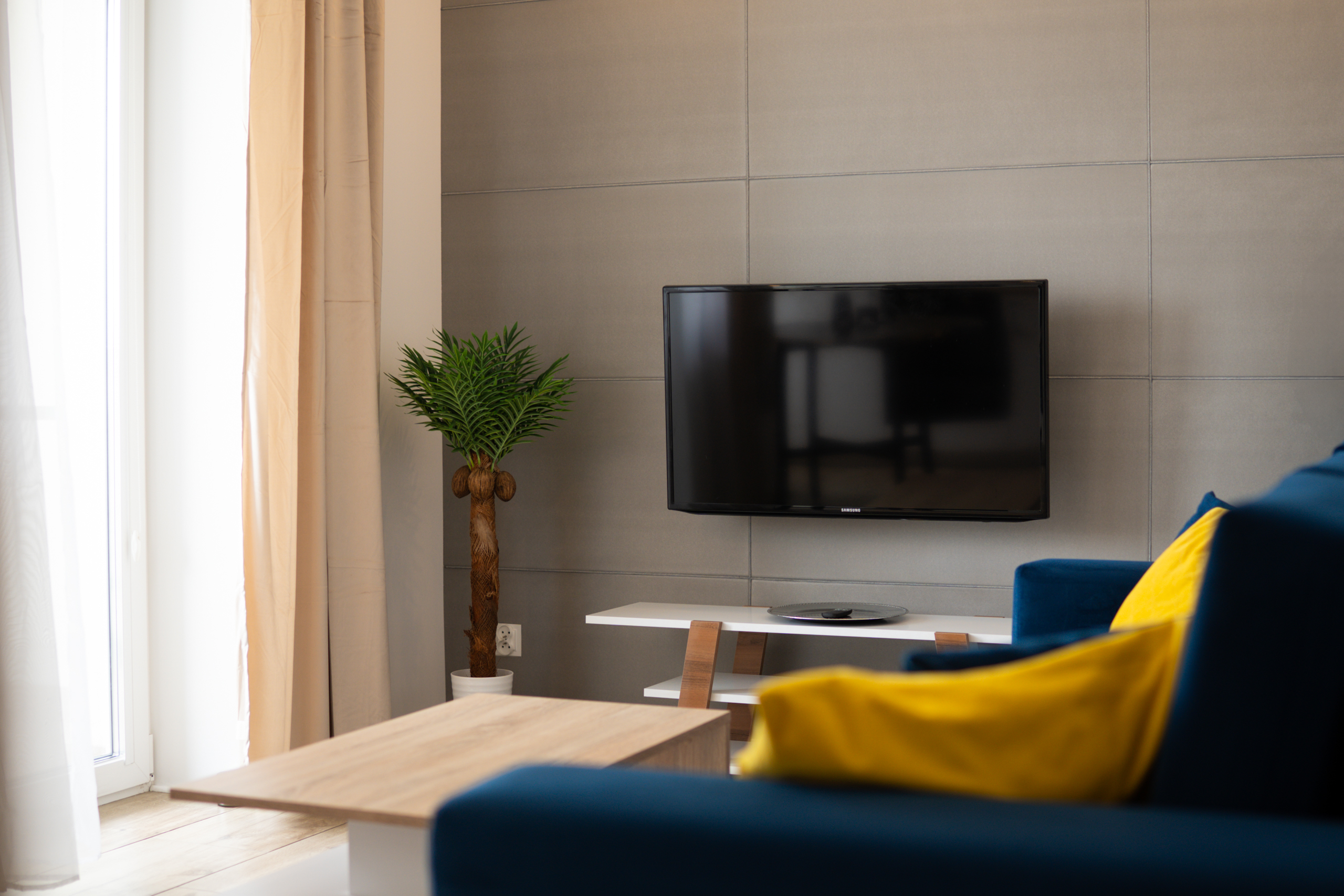 Stylowy salon z niebieską sofą, telewizorem na ścianie i rośliną